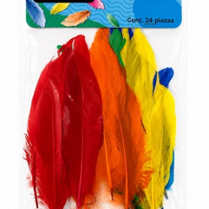 MANUALIDADES BARRILITO PLUMAS COLORES GRANDE F024 BL-24